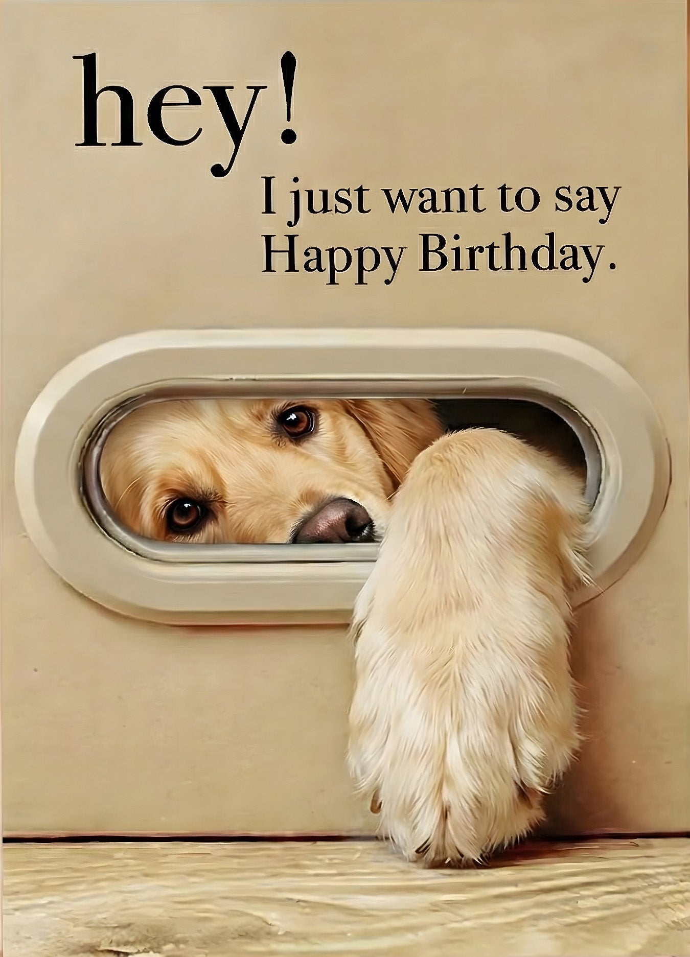 3D Dog & Cat Greeting Cards with Faux Fur Paws | Handmade Pop-Up Pet Cards for Animal Lovers