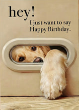 Load image into Gallery viewer, 3D Dog &amp; Cat Greeting Cards with Faux Fur Paws | Handmade Pop-Up Pet Cards for Animal Lovers
