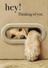 Load image into Gallery viewer, 3D Dog &amp; Cat Greeting Cards with Faux Fur Paws | Handmade Pop-Up Pet Cards for Animal Lovers
