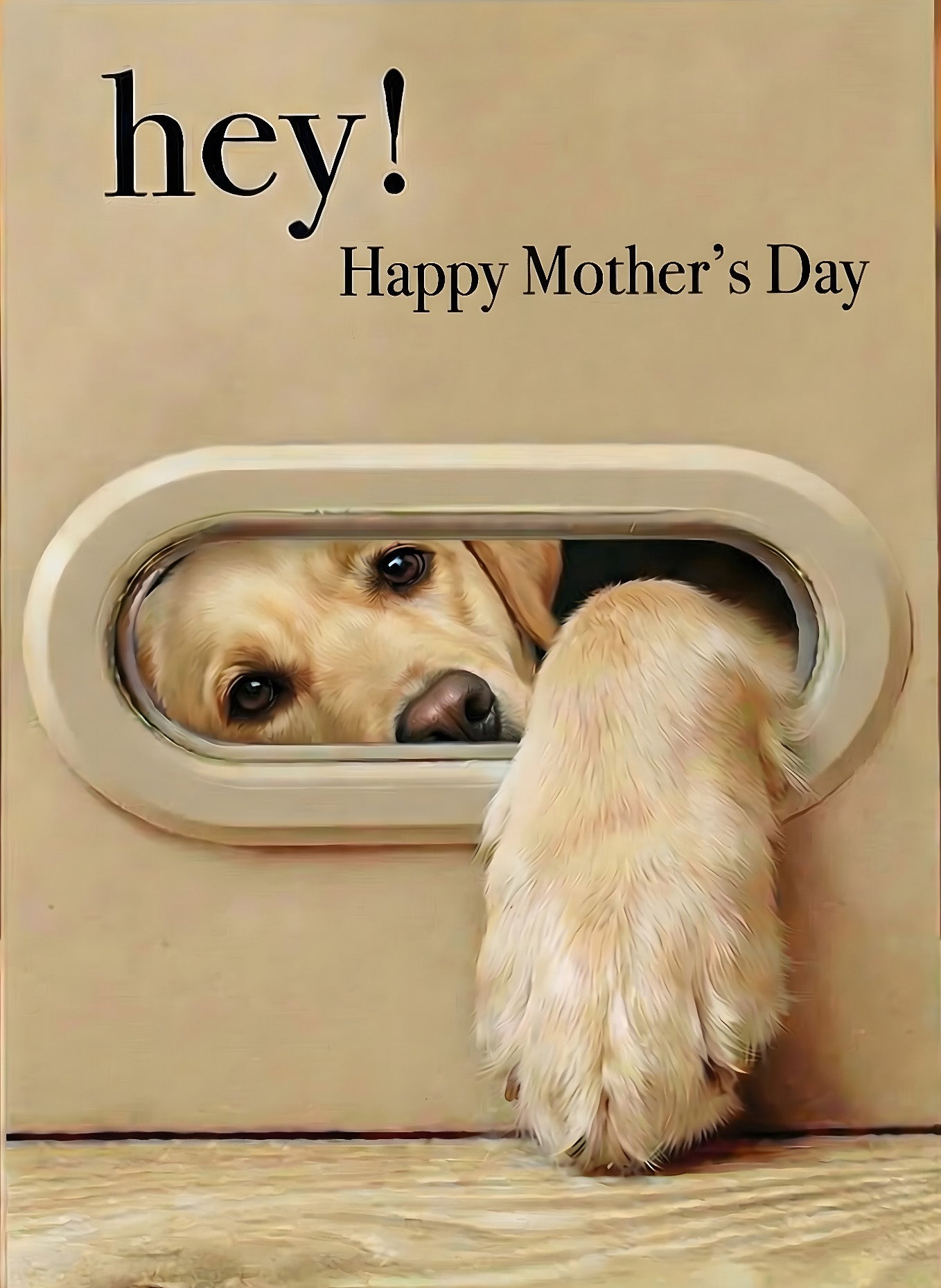 3D Dog & Cat Greeting Cards with Faux Fur Paws | Handmade Pop-Up Pet Cards for Animal Lovers