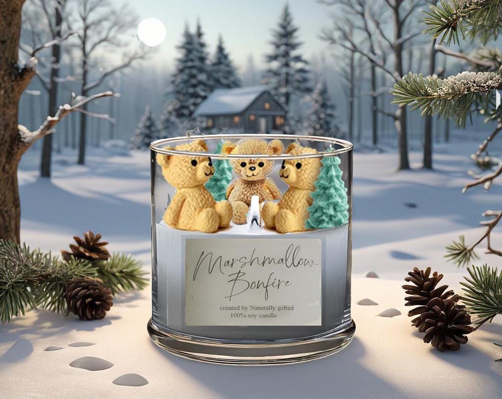 Winter Candle, Campfire Candle, Autumn candle gift, soy Wax, Birthday gift, gift for her, bff gift, Pumpkin Spice, Container candle