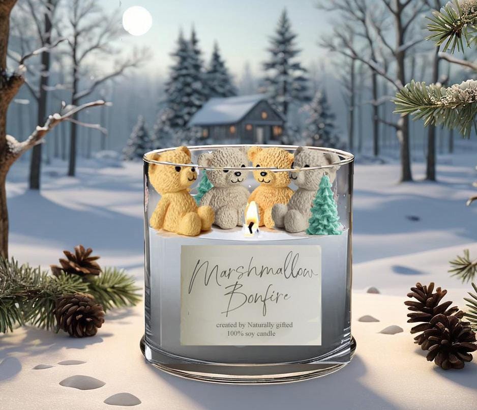 Winter Candle, Campfire Candle, Autumn candle gift, soy Wax, Birthday gift, gift for her, bff gift, Pumpkin Spice, Container candle