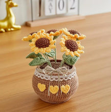 Load image into Gallery viewer, Tulip Crochet Flower Pot, Tulip, Sunflower, Daisy, flower lover, Knitted Floral Decor, Gift Plant Lover, gift for her, Knit tulips
