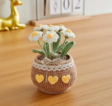 Load image into Gallery viewer, Tulip Crochet Flower Pot, Tulip, Sunflower, Daisy, flower lover, Knitted Floral Decor, Gift Plant Lover, gift for her, Knit tulips

