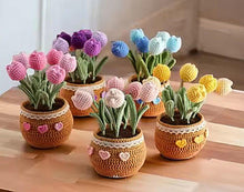 Load image into Gallery viewer, Crochet Flower in Pot, Tulip, Sunflower, Rose, Daisy, Handmade Pot, Mother's Day Gift, Birthday Present, Knitted Flower, Gift for Her
