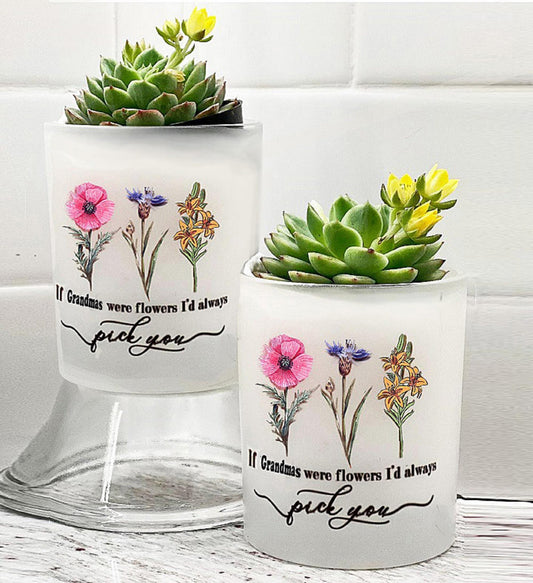Grandma Flower Pot with Succulent, Mini Ceramic Planter for Mom