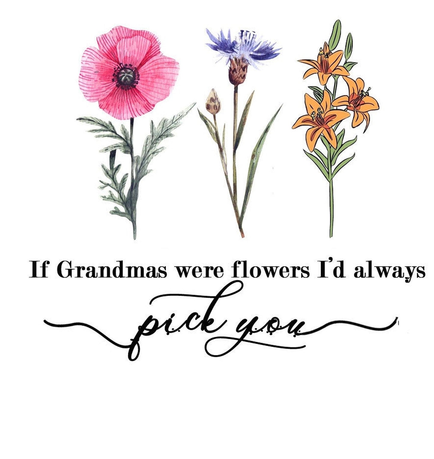 Grandma Flower Pot with Succulent, Mini Ceramic Planter for Mom