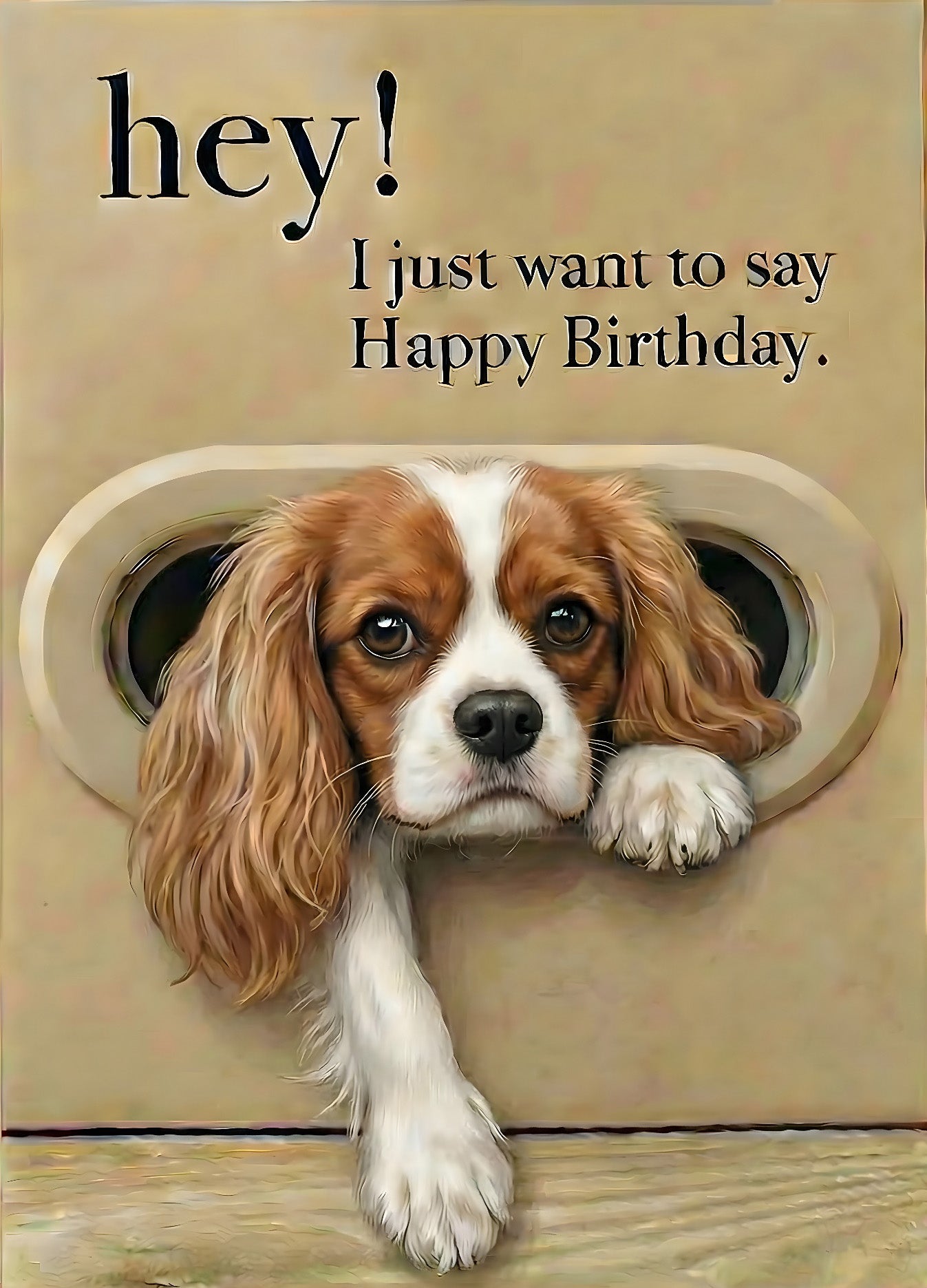 3D Dog & Cat Greeting Cards with Faux Fur Paws | Handmade Pop-Up Pet Cards for Animal Lovers