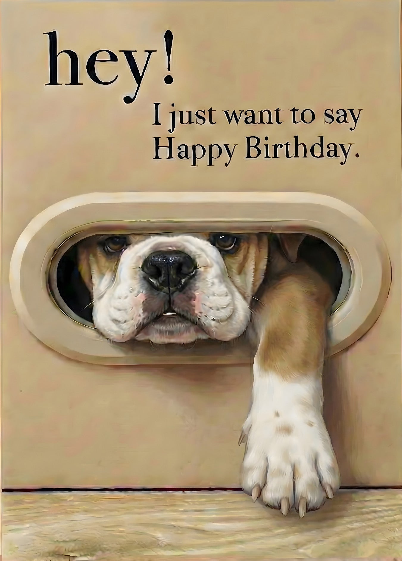 3D Dog & Cat Greeting Cards with Faux Fur Paws | Handmade Pop-Up Pet Cards for Animal Lovers