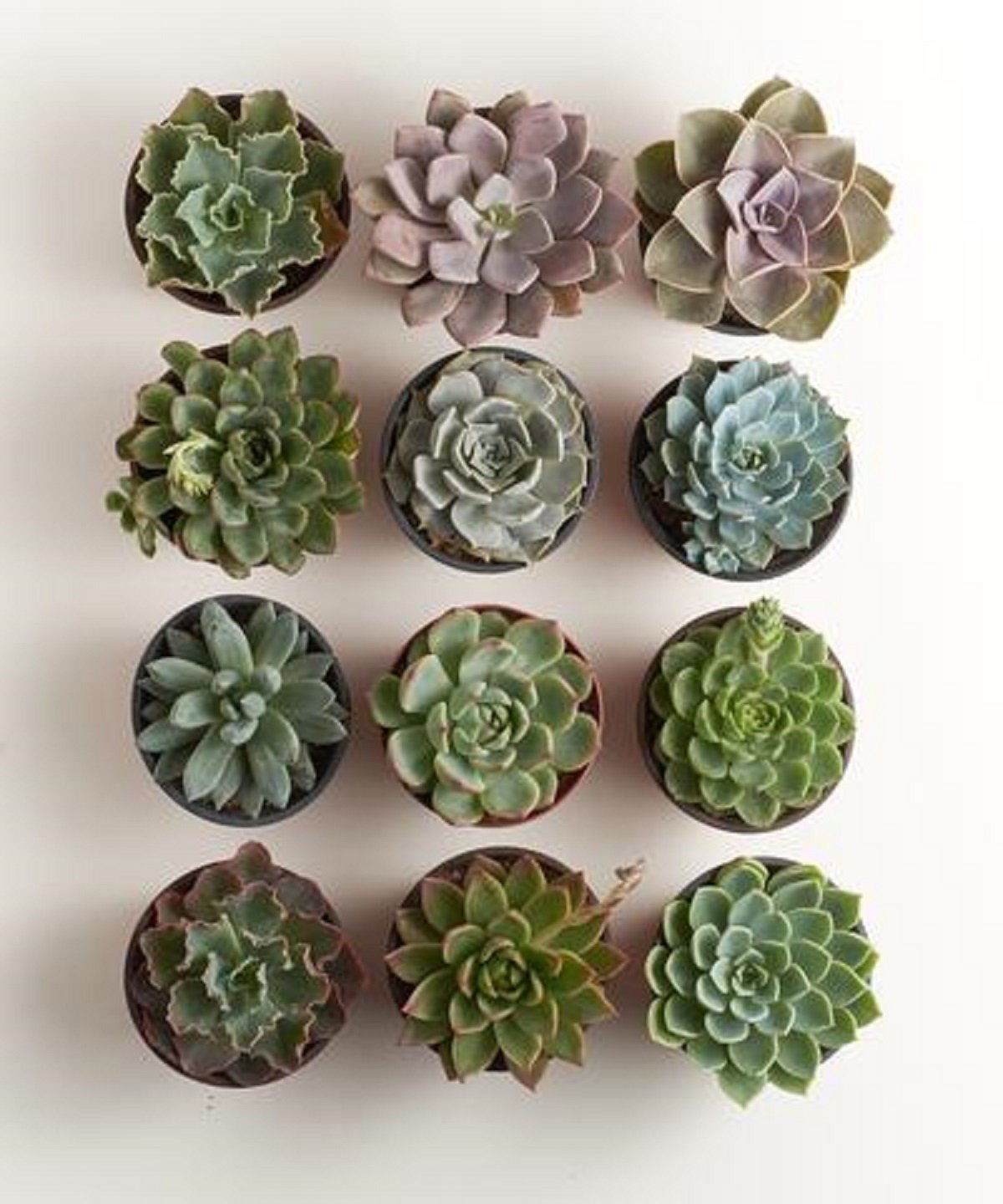 Unique Spa Best Friend Birthday Gift - Naturally GiftedNY