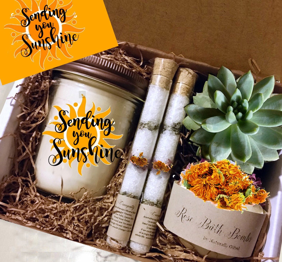 succulent gift box ideas Sending You Sunshine Gift Box, Live Succulent Gift, Friendship Gift, Thinking of You Gift, Send a Gift, Care Package