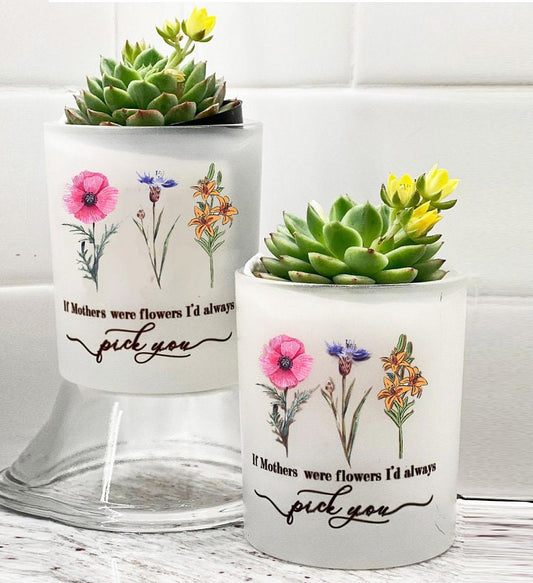 Sister Planter - Mom Gift-Best Mom-Mother Gift-Mom Birthday-Congrats Gift Box - Friendship Gift Box - gift for mom from son - Naturally GiftedNY