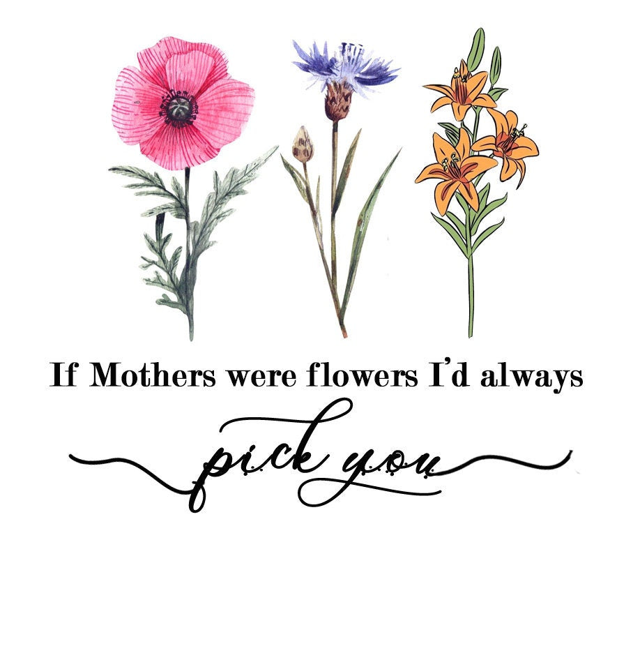 Sister Planter - Mom Gift-Best Mom-Mother Gift-Mom Birthday-Congrats Gift Box - Friendship Gift Box - gift for mom from son - Naturally GiftedNY